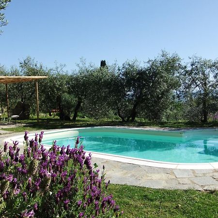 Agriturismo Il Castagnolino San Gimignano Kültér fotó