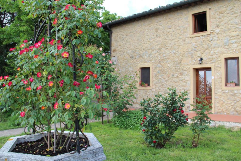 Agriturismo Il Castagnolino San Gimignano Szoba fotó